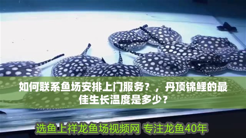 給大魚缸換水的作文:體驗給大魚缸換水的樂趣:體驗給大魚缸換水:給大魚缸換水的作文 如何聯系魚場安排上門服務?,丹頂錦鯉的最佳生長溫度是多少? 龍魚百科 如何聯系魚場安排上門服務?,丹頂錦鯉的最佳生長溫度是多少? 如何聯系魚場安排上門服務?,丹頂錦鯉的最佳生長溫度是多少? 龍魚百科