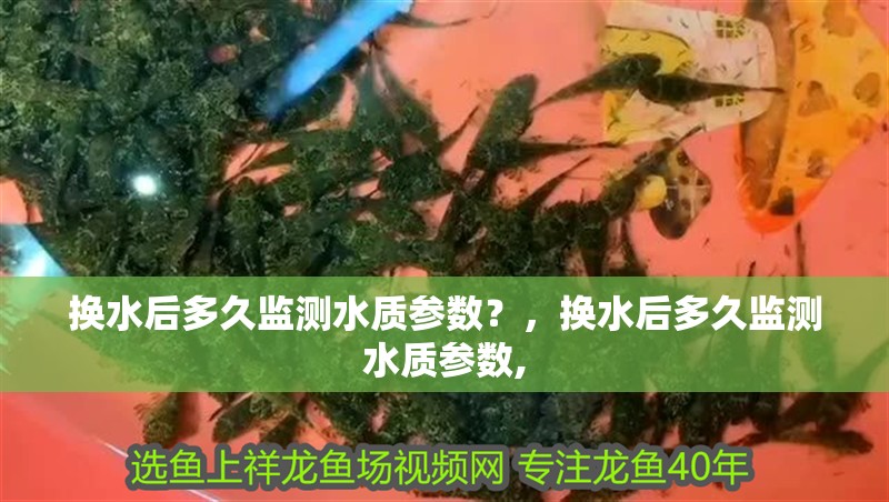 換水后多久監測水質參數？，換水后多久監測水質參數, 換水后多久監測水質參數？，換水后多久監測水質參數, 龍魚百科