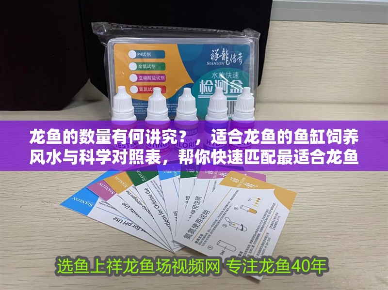 龍魚的數(shù)量有何講究？，適合龍魚的魚缸飼養(yǎng)風(fēng)水與科學(xué)對(duì)照表，幫你快速匹配最適合龍魚 龍魚的數(shù)量有何講究？，適合龍魚的魚缸飼養(yǎng)風(fēng)水與科學(xué)對(duì)照表，幫你快速匹配最適合龍魚 龍魚百科