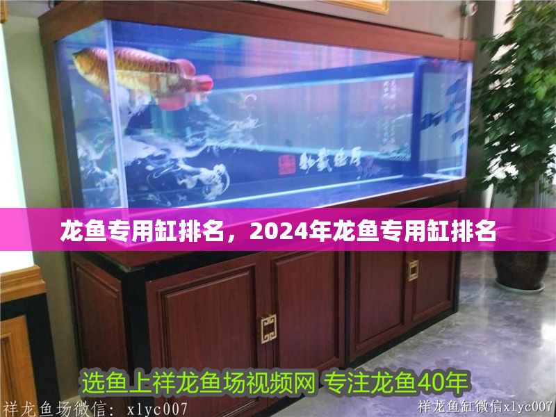 龍魚專用缸排名，2024年龍魚專用缸排名