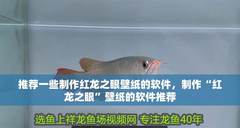 推薦一些制作紅龍之眼壁紙的軟件，制作“紅龍之眼”壁紙的軟件推薦 推薦一些制作紅龍之眼壁紙的軟件，制作“紅龍之眼”壁紙的軟件推薦 龍魚百科