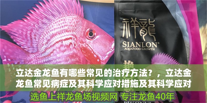 魚缸過濾器選購指南:自制魚缸過濾器魚缸上置過濾器對于養魚愛好者的必備知識 立達金龍魚有哪些常見的治療方法?,立達金龍魚常見病癥及其科學應對措施及其科學應對措施 龍魚百科 立達金龍魚有哪些常見的治療方法?,立達金龍魚常見病癥及其科學應對措施及其科學應對措施 立達金龍魚有哪些常見的治療方法?,立達金龍魚常見病癥及其科學應對措施及其科學應對措施 龍魚百科