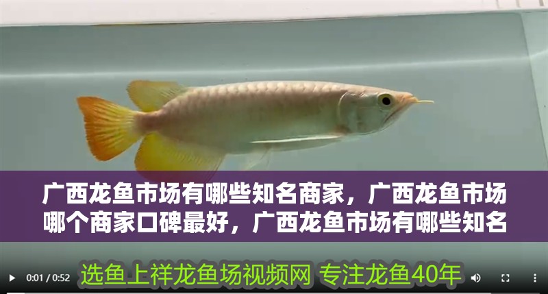 廣西龍魚市場有哪些知名商家，廣西龍魚市場哪個商家口碑最好，廣西龍魚市場有哪些知名商家 廣西龍魚市場有哪些知名商家，廣西龍魚市場哪個商家口碑最好，廣西龍魚市場有哪些知名商家 龍魚百科