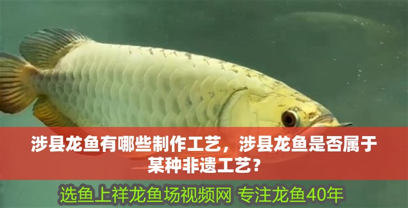 涉縣龍魚有哪些制作工藝，涉縣龍魚是否屬于某種非遺工藝？ 涉縣龍魚有哪些制作工藝，涉縣龍魚是否屬于某種非遺工藝？ 龍魚百科