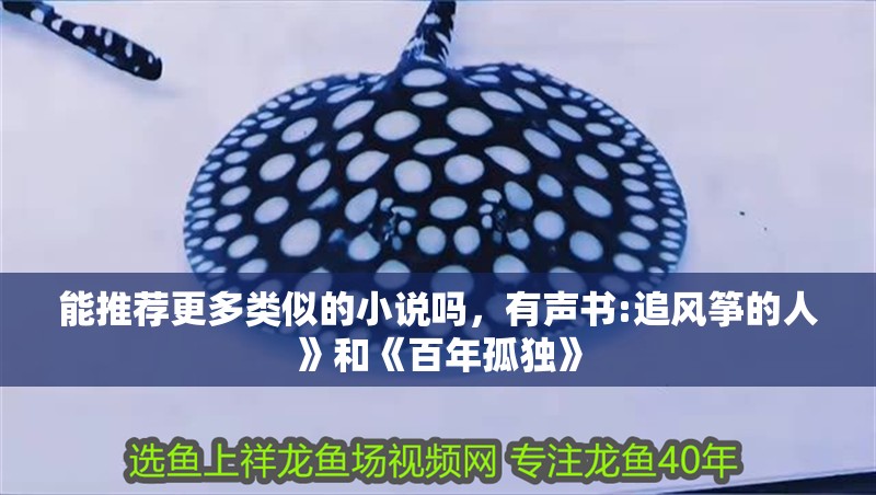 能推薦更多類似的小說嗎，有聲書:追風(fēng)箏的人》和《百年孤獨》 能推薦更多類似的小說嗎，有聲書:追風(fēng)箏的人》和《百年孤獨》 龍魚百科