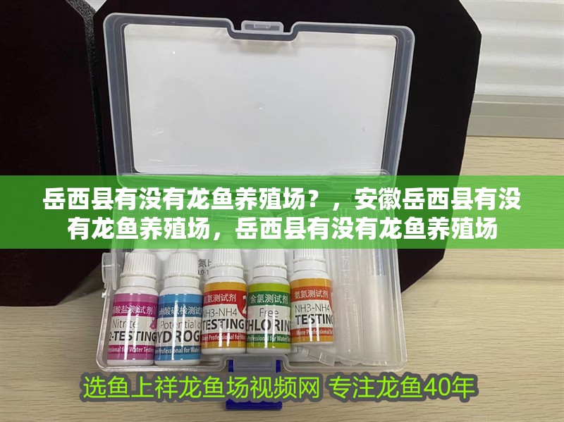 魚缸造景先放沙還是先放水(魚缸造景先鋪沙還是先放石頭) 岳西縣有沒(méi)有龍魚養(yǎng)殖場(chǎng)?,安徽岳西縣有沒(méi)有龍魚養(yǎng)殖場(chǎng),岳西縣有沒(méi)有龍魚養(yǎng)殖場(chǎng) 龍魚百科 岳西縣有沒(méi)有龍魚養(yǎng)殖場(chǎng)?,安徽岳西縣有沒(méi)有龍魚養(yǎng)殖場(chǎng),岳西縣有沒(méi)有龍魚養(yǎng)殖場(chǎng) 岳西縣有沒(méi)有龍魚養(yǎng)殖場(chǎng)?,安徽岳西縣有沒(méi)有龍魚養(yǎng)殖場(chǎng),岳西縣有沒(méi)有龍魚養(yǎng)殖場(chǎng) 龍魚百科