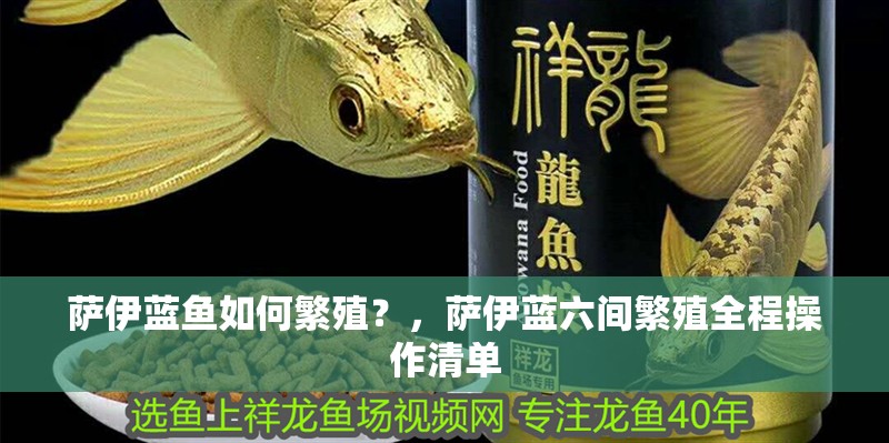 薩伊藍(lán)魚(yú)如何繁殖？，薩伊藍(lán)六間繁殖全程操作清單 薩伊藍(lán)魚(yú)如何繁殖？，薩伊藍(lán)六間繁殖全程操作清單 龍魚(yú)百科