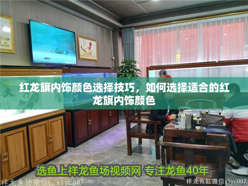 紅龍旗內飾顏色選擇技巧，如何選擇適合的紅龍旗內飾顏色 紅龍旗內飾顏色選擇技巧，如何選擇適合的紅龍旗內飾顏色 龍魚百科