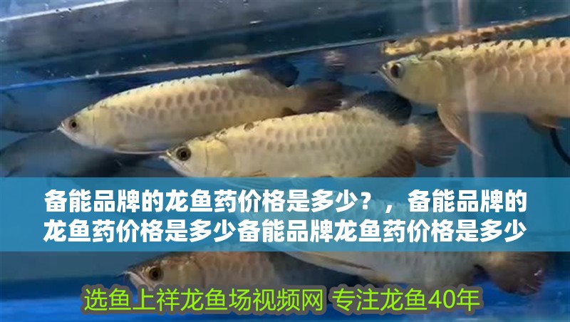備能品牌的龍魚藥價(jià)格是多少？，備能品牌的龍魚藥價(jià)格是多少備能品牌龍魚藥價(jià)格是多少