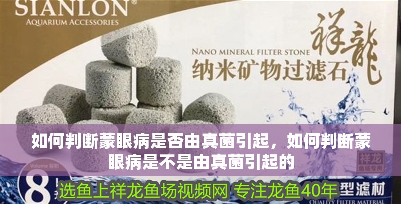 如何判斷蒙眼病是否由真菌引起，如何判斷蒙眼病是不是由真菌引起的 如何判斷蒙眼病是否由真菌引起，如何判斷蒙眼病是不是由真菌引起的 龍魚百科
