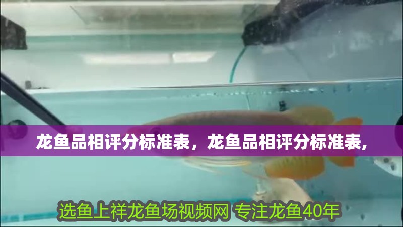 龍魚品相評分標準表，龍魚品相評分標準表,