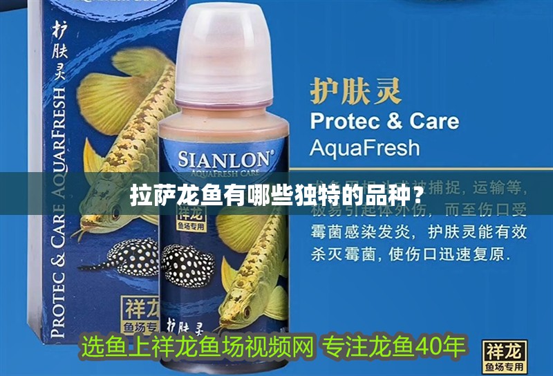 拉薩龍魚有哪些獨特的品種？