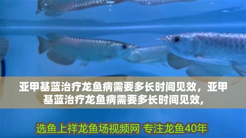 我的虎魚真菌感染了要怎么處理 亞甲基藍治療龍魚病需要多長時間見效,亞甲基藍治療龍魚病需要多長時間見效, 龍魚百科 亞甲基藍治療龍魚病需要多長時間見效,亞甲基藍治療龍魚病需要多長時間見效, 亞甲基藍治療龍魚病需要多長時間見效,亞甲基藍治療龍魚病需要多長時間見效, 龍魚百科