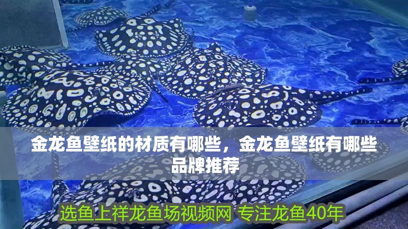 金龍魚壁紙的材質有哪些，金龍魚壁紙有哪些品牌推薦 金龍魚壁紙的材質有哪些，金龍魚壁紙有哪些品牌推薦 龍魚百科