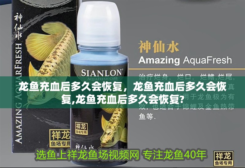 龍魚(yú)充血后多久會(huì)恢復(fù)，龍魚(yú)充血后多久會(huì)恢復(fù),龍魚(yú)充血后多久會(huì)恢復(fù)? 龍魚(yú)充血后多久會(huì)恢復(fù)，龍魚(yú)充血后多久會(huì)恢復(fù),龍魚(yú)充血后多久會(huì)恢復(fù)? 龍魚(yú)百科
