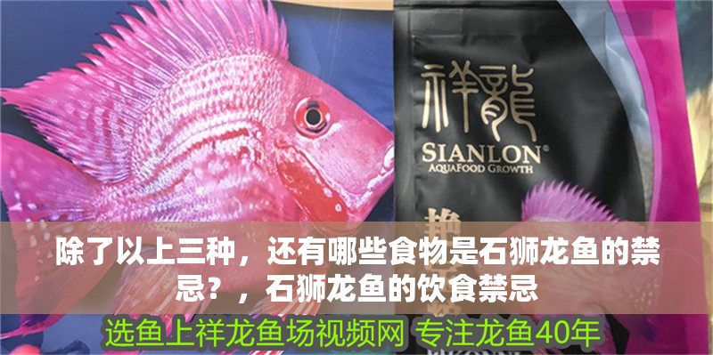 除了以上三種，還有哪些食物是石獅龍魚的禁忌？，石獅龍魚的飲食禁忌 除了以上三種，還有哪些食物是石獅龍魚的禁忌？，石獅龍魚的飲食禁忌 龍魚百科