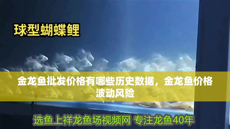 金龍魚批發價格有哪些歷史數據，金龍魚價格波動風險 金龍魚批發價格有哪些歷史數據，金龍魚價格波動風險 龍魚百科