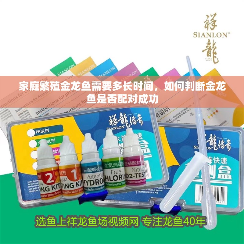 家庭繁殖金龍魚需要多長時間，如何判斷金龍魚是否配對成功 家庭繁殖金龍魚需要多長時間，如何判斷金龍魚是否配對成功 龍魚百科