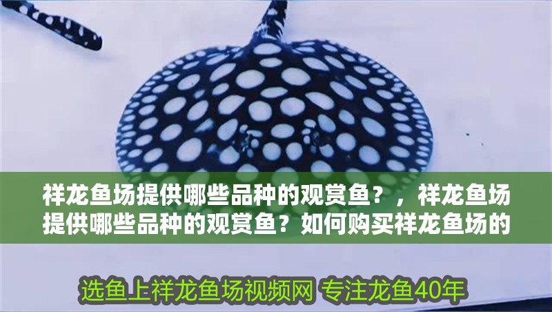 祥龍魚場提供哪些品種的觀賞魚？，祥龍魚場提供哪些品種的觀賞魚？如何購買祥龍魚場的觀賞魚？ 祥龍魚場提供哪些品種的觀賞魚？，祥龍魚場提供哪些品種的觀賞魚？如何購買祥龍魚場的觀賞魚？ 龍魚百科