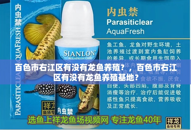 百色市右江區(qū)有沒有龍魚養(yǎng)殖？，百色市右江區(qū)有沒有龍魚養(yǎng)殖基地？