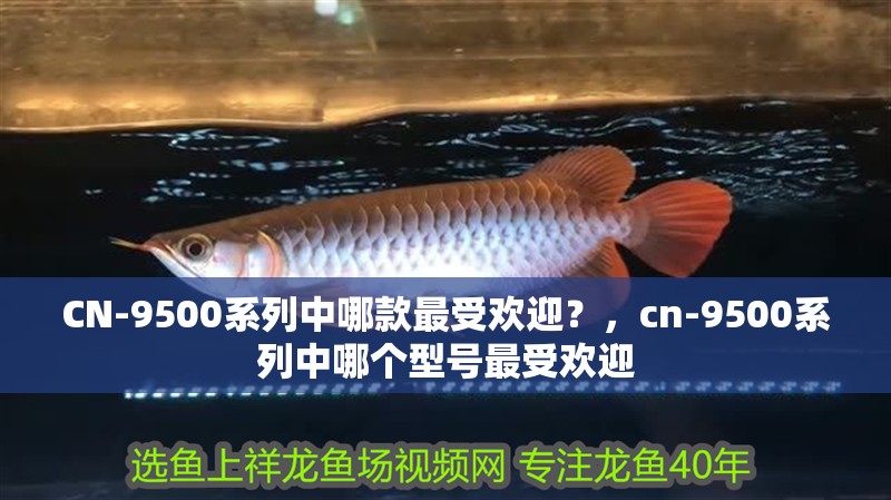 CN-9500系列中哪款最受歡迎？，cn-9500系列中哪個(gè)型號(hào)最受歡迎