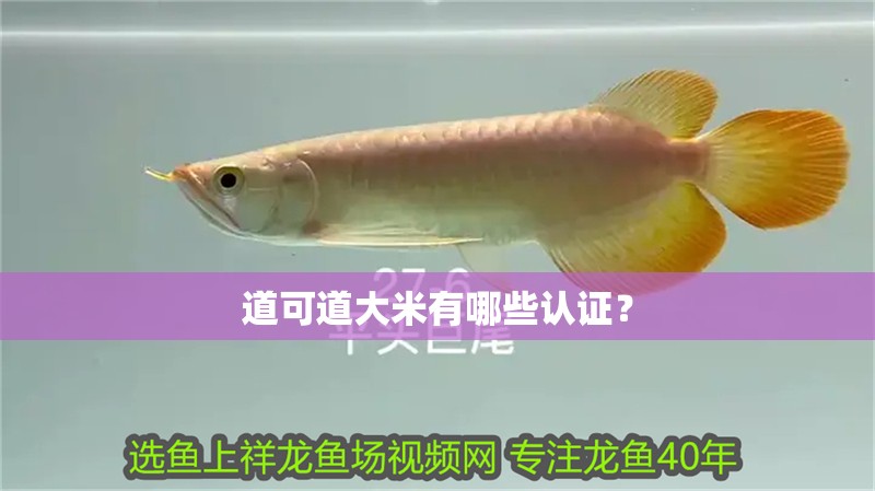 龍魚干蝦有營養嗎 道可道大米有哪些認證? 龍魚百科 道可道大米有哪些認證? 道可道大米有哪些認證? 龍魚百科