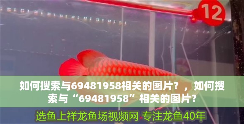 龍魚干蝦有營養嗎 如何搜索與69481958相關的圖片?,如何搜索與“69481958”相關的圖片? 龍魚百科 如何搜索與69481958相關的圖片?,如何搜索與“69481958”相關的圖片? 如何搜索與69481958相關的圖片?,如何搜索與“69481958”相關的圖片? 龍魚百科