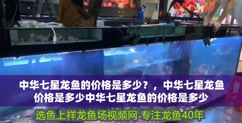 魚缸過濾器選購指南:自制魚缸過濾器魚缸上置過濾器對于養魚愛好者的必備知識 中華七星龍魚的價格是多少?,中華七星龍魚價格是多少中華七星龍魚的價格是多少 龍魚百科 中華七星龍魚的價格是多少?,中華七星龍魚價格是多少中華七星龍魚的價格是多少 中華七星龍魚的價格是多少?,中華七星龍魚價格是多少中華七星龍魚的價格是多少 龍魚百科