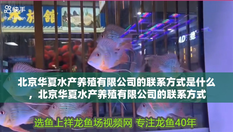 魚缸用增氧泵價格是多少:魚缸增氧機-xtrac增氧機-xtrac增氧機 北京華夏水產養殖有限公司的聯系方式是什么,北京華夏水產養殖有限公司的聯系方式 龍魚百科 北京華夏水產養殖有限公司的聯系方式是什么,北京華夏水產養殖有限公司的聯系方式 北京華夏水產養殖有限公司的聯系方式是什么,北京華夏水產養殖有限公司的聯系方式 龍魚百科