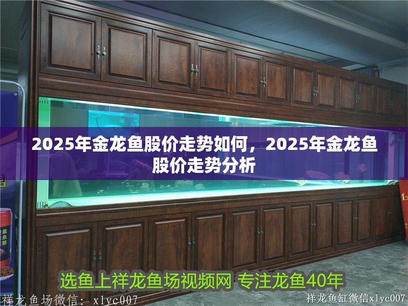 我的虎魚真菌感染了要怎么處理 2025年金龍魚股價走勢如何,2025年金龍魚股價走勢分析 龍魚百科 2025年金龍魚股價走勢如何,2025年金龍魚股價走勢分析 2025年金龍魚股價走勢如何,2025年金龍魚股價走勢分析 龍魚百科
