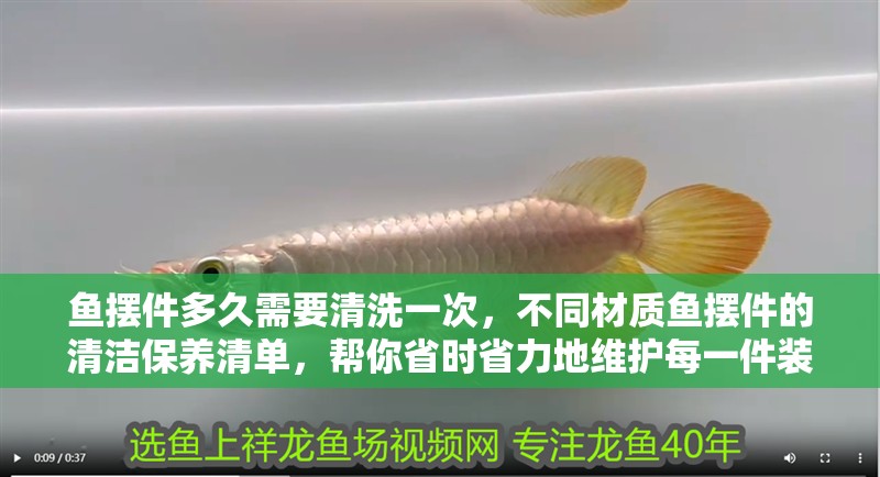 魚擺件多久需要清洗一次，不同材質魚擺件的清潔保養清單，幫你省時省力地維護每一件裝飾