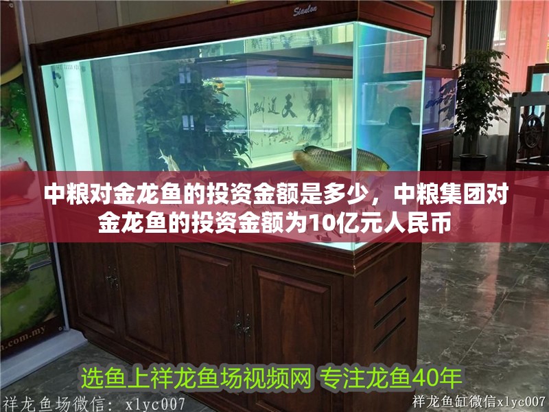 中糧對金龍魚的投資金額是多少，中糧集團對金龍魚的投資金額為10億元人民幣