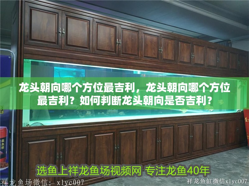 龍頭朝向哪個方位最<strong><mark>吉利</mark></strong>，龍頭朝向哪個方位最<strong><mark>吉利</mark></strong>？如何判斷龍頭朝向是否<strong><mark>吉利</mark></strong>？