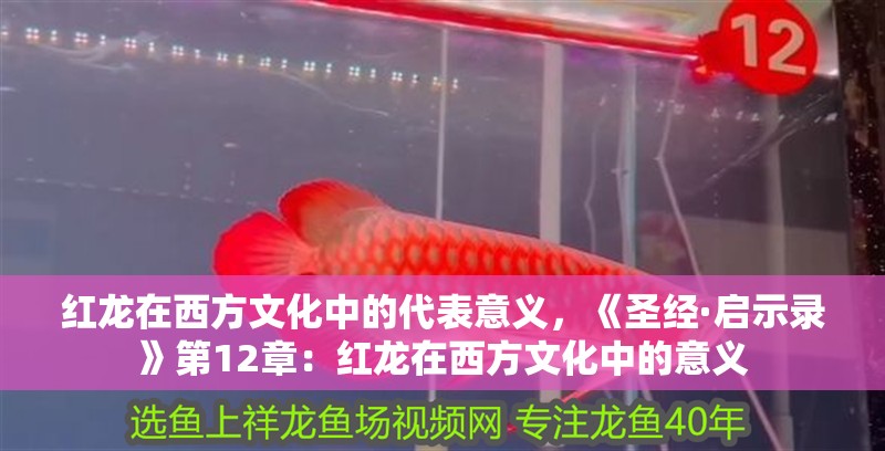 紅龍?jiān)谖鞣轿幕械拇硪饬x，《圣經(jīng)·啟示錄》第12章：紅龍?jiān)谖鞣轿幕械囊饬x 紅龍?jiān)谖鞣轿幕械拇硪饬x，《圣經(jīng)·啟示錄》第12章：紅龍?jiān)谖鞣轿幕械囊饬x 龍魚(yú)百科