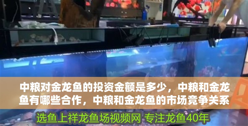 中糧對金龍魚的投資金額是多少，中糧和金龍魚有哪些合作，中糧和金龍魚的市場競爭關系