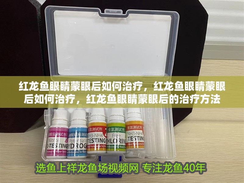 紅龍魚眼睛蒙眼后如何治療，紅龍魚眼睛蒙眼后如何治療，紅龍魚眼睛蒙眼后的治療方法