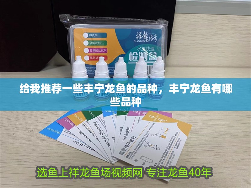 給我推薦一些豐寧龍魚的品種，豐寧龍魚有哪些品種 給我推薦一些豐寧龍魚的品種，豐寧龍魚有哪些品種 龍魚百科
