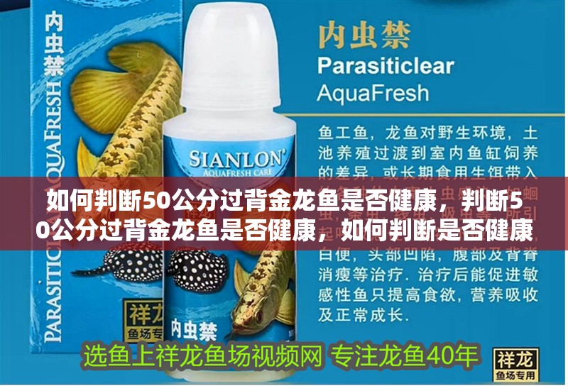 如何判斷50公分過背金龍魚是否健康，判斷50公分過背金龍魚是否健康，如何判斷是否健康