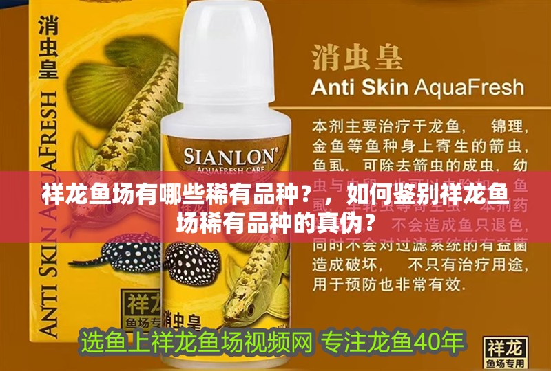 祥龍魚場有哪些稀有品種？，如何鑒別祥龍魚場稀有品種的真偽？