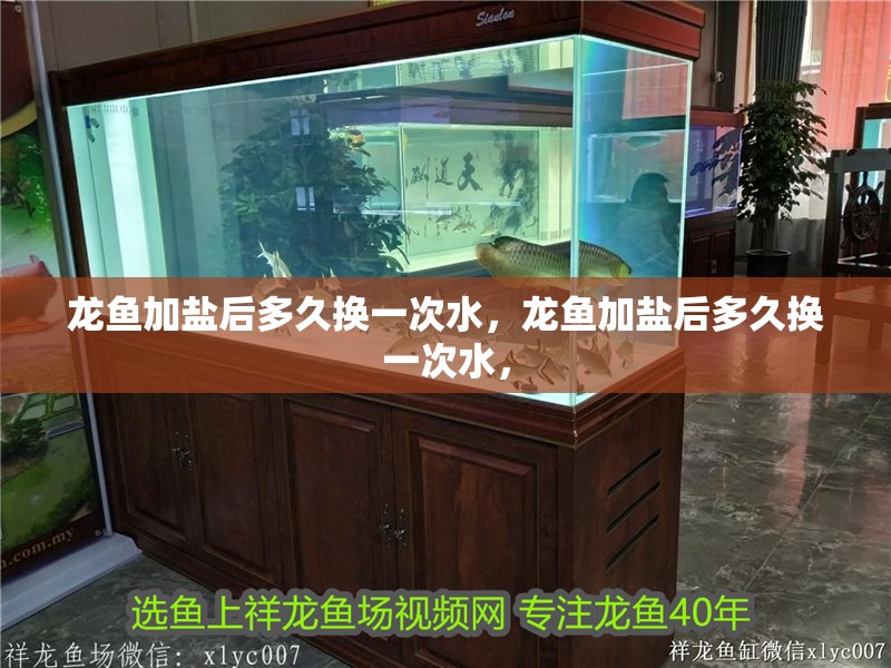 龍魚加鹽后多久換一次水，龍魚加鹽后多久換一次水， 龍魚加鹽后多久換一次水，龍魚加鹽后多久換一次水， 龍魚百科