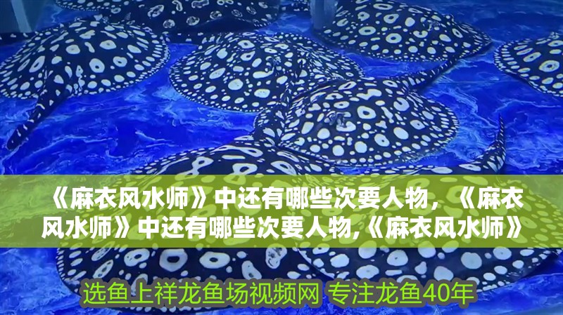 《麻衣風水師》中還有哪些次要人物，《麻衣風水師》中還有哪些次要人物,《麻衣風水師》中哪個次要人物最受歡迎 《麻衣風水師》中還有哪些次要人物，《麻衣風水師》中還有哪些次要人物,《麻衣風水師》中哪個次要人物最受歡迎 龍魚百科