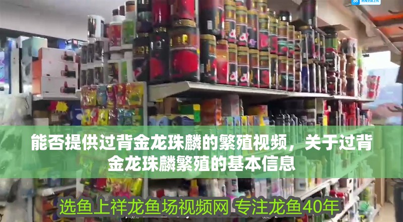 紅龍魚用黃燈烤有用嗎 能否提供過背金龍珠麟的繁殖視頻,關于過背金龍珠麟繁殖的基本信息 龍魚百科 能否提供過背金龍珠麟的繁殖視頻,關于過背金龍珠麟繁殖的基本信息 能否提供過背金龍珠麟的繁殖視頻,關于過背金龍珠麟繁殖的基本信息 龍魚百科