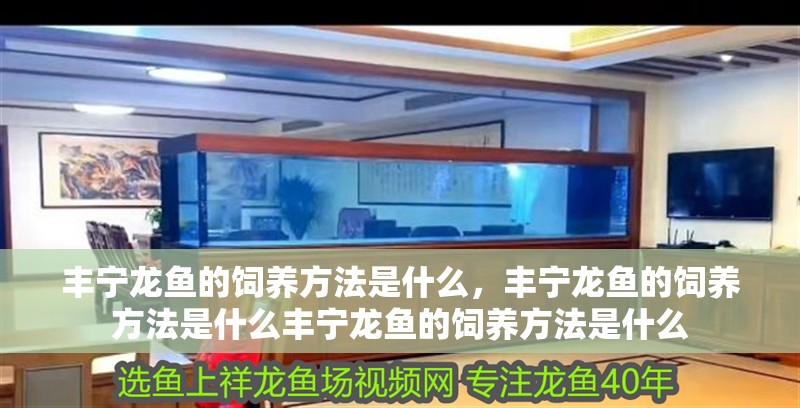 豐寧龍魚(yú)的飼養(yǎng)方法是什么，豐寧龍魚(yú)的飼養(yǎng)方法是什么豐寧龍魚(yú)的飼養(yǎng)方法是什么 豐寧龍魚(yú)的飼養(yǎng)方法是什么，豐寧龍魚(yú)的飼養(yǎng)方法是什么豐寧龍魚(yú)的飼養(yǎng)方法是什么 龍魚(yú)百科