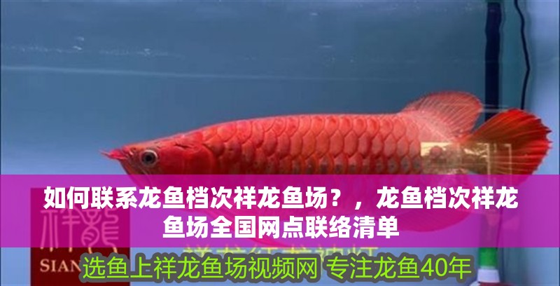 龍魚干蝦有營養(yǎng)嗎 如何聯(lián)系龍魚檔次祥龍魚場?,龍魚檔次祥龍魚場全國網(wǎng)點聯(lián)絡(luò)清單 龍魚百科 如何聯(lián)系龍魚檔次祥龍魚場?,龍魚檔次祥龍魚場全國網(wǎng)點聯(lián)絡(luò)清單 如何聯(lián)系龍魚檔次祥龍魚場?,龍魚檔次祥龍魚場全國網(wǎng)點聯(lián)絡(luò)清單 龍魚百科
