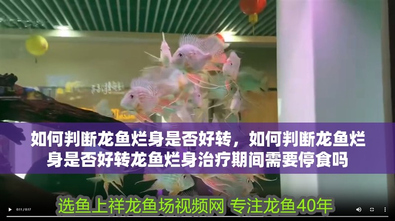 如何判斷龍魚爛身是否好轉，如何判斷龍魚爛身是否好轉龍魚爛身治療期間需要停食嗎