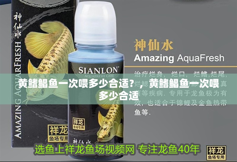 紅龍魚用黃燈烤有用嗎 黃鰭鯧魚一次喂多少合適?,黃鰭鯧魚一次喂多少合適 龍魚百科 黃鰭鯧魚一次喂多少合適?,黃鰭鯧魚一次喂多少合適 黃鰭鯧魚一次喂多少合適?,黃鰭鯧魚一次喂多少合適 龍魚百科