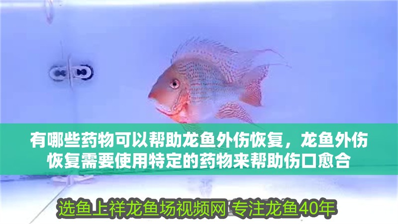 有哪些藥物可以幫助龍魚外傷恢復，龍魚外傷恢復需要使用特定的藥物來幫助傷口愈合 有哪些藥物可以幫助龍魚外傷恢復，龍魚外傷恢復需要使用特定的藥物來幫助傷口愈合 龍魚百科