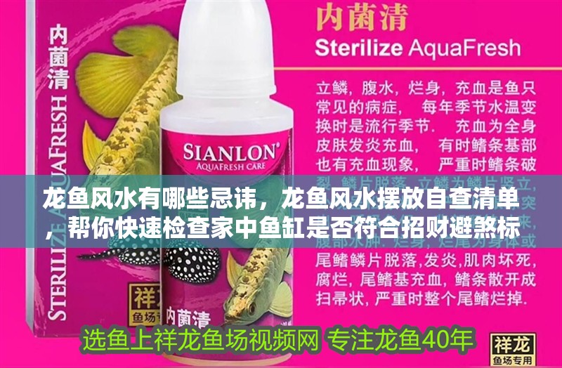 龍魚風水有哪些忌諱，龍魚風水擺放自查清單，幫你快速檢查家中魚缸是否符合招財避煞標準