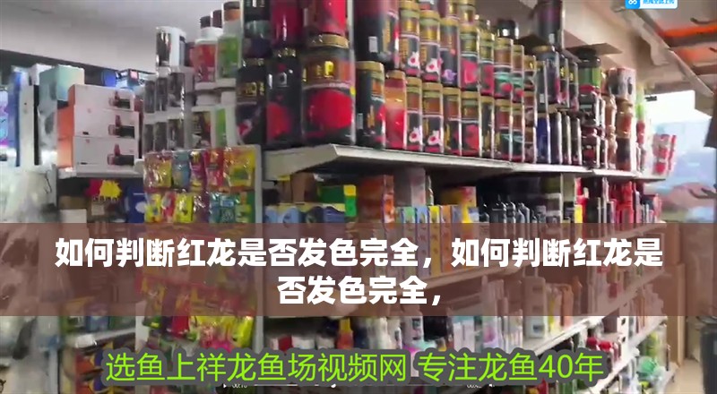 魚缸過濾器選購指南:自制魚缸過濾器魚缸上置過濾器對于養魚愛好者的必備知識 如何判斷紅龍是否發色完全,如何判斷紅龍是否發色完全, 龍魚百科 如何判斷紅龍是否發色完全,如何判斷紅龍是否發色完全, 如何判斷紅龍是否發色完全,如何判斷紅龍是否發色完全, 龍魚百科