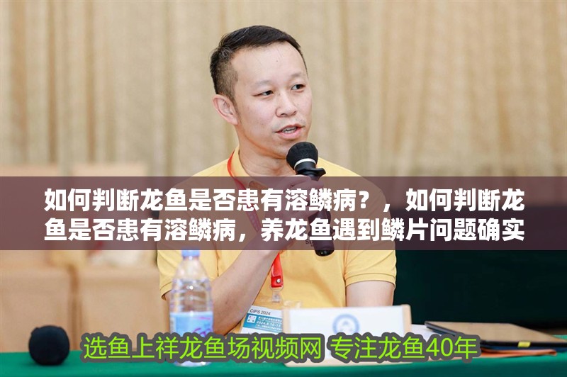 紅龍魚用黃燈烤有用嗎 如何判斷龍魚是否患有溶鱗病?,如何判斷龍魚是否患有溶鱗病,養(yǎng)龍魚遇到鱗片問題確實讓人揪心 龍魚百科 如何判斷龍魚是否患有溶鱗病?,如何判斷龍魚是否患有溶鱗病,養(yǎng)龍魚遇到鱗片問題確實讓人揪心 如何判斷龍魚是否患有溶鱗病?,如何判斷龍魚是否患有溶鱗病,養(yǎng)龍魚遇到鱗片問題確實讓人揪心 龍魚百科